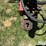 krause-4436d-image-9