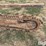 2004-ditch-witch-rt40-image-12