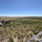 aermotor-windmill-image-13
