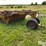 eversman-650-image-3
