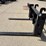 m&j-volvo-mount-pallet-forks-image-7