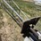 aermotor-windmill-image-18