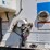 2002-great-dane-28-image-16