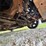 #24067-•-1994-buick-roadmaster-passenger-car-image-27