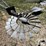 aermotor-windmill-image-10
