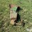 john-deere-5830-image-6