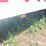 2006-kidron-reefer-image-11
