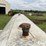 1000-gallon-tank-on-running-gear-image-16