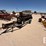 grass-drill-with-trailer-5195-image-2