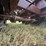 1995-wabash-truss-extendable-trailer-image-8