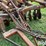 bush-hog-1445-image-20