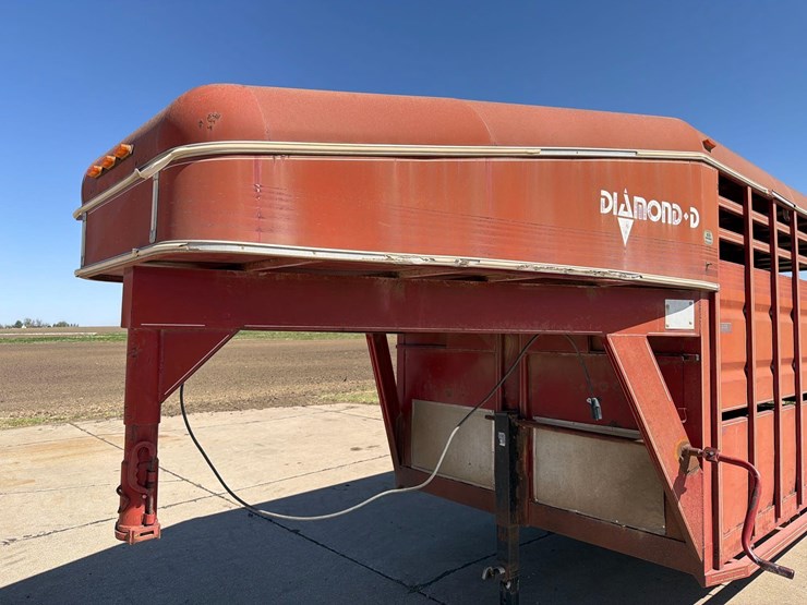 1991-diamond-d-image-15