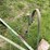 john-deere-1240-image-19