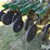 great-plains-3s-4000hd-image-11