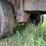 maurer-102”-x-53ft-semi-drop-deck-trailer-image-43