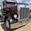 1981-peterbilt-359-image-16