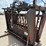 behlen-country-7ft-hydraulic-cattle-squeeze-chute-image-11