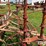 wil-rich-field-cultivator-image-19