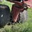 2015-case-ih-1265-image-17