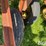 wil-rich-field-cultivator-image-10
