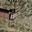 shop-built-arena-digger/tree-cleaner-image-7