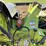 2015-claas-disco-3600fc-image-44