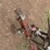 demco-pull-type-sprayer-image-9