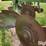 john-deere-on-land-plow-image-15