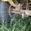 1994-barrett-pot-image-47