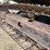 caterpillar-307c-image-45