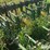 john-deere-rg4-image-12