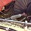 h-&-s-ff6116-image-15