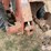 2004-ditch-witch-rt40-image-14