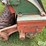 brillion-sure-stand-sst-1201-cultipacker-drill-image-10
