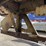 2007-strick-trailer-image-16