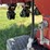 2015-case-ih-1265-image-68