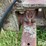 kewanee-270-image-12
