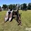 new-idea-10-image-2