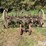 john-deere-2-image-2
