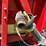 case-ih-3412-image-11