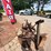 #24071-•-two-bottom-moldboard-plow-image-6