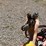 wil-rich-quad-5-image-12