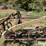 john-deere-896-image-11