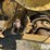 new-holland-1475-image-20