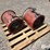 caldwell-f12-751-12"-drying-fans-image-7