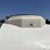 wylie-1000-image-20