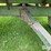 john-deere-sne107-hay-wagon-image-14