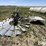 aermotor-windmill-image-2