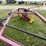 rowse-d9-image-28
