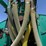 houle-7300-manure-tanker-image-78